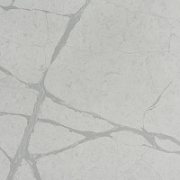 Slab Image of Bianco Eclipsia