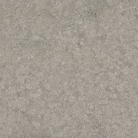 Slab Image of Grigio